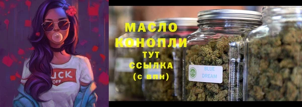 сатива Елабуга