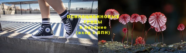 сатива Елабуга