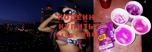 тгк Елизово