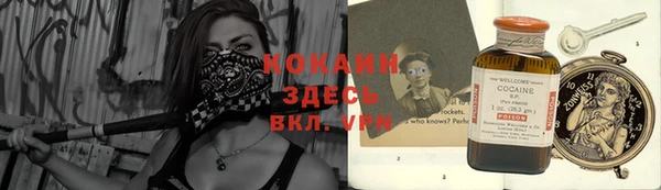 mdpv Ельня