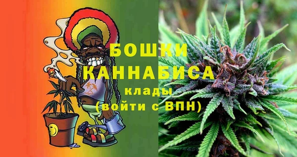 mdpv Ельня
