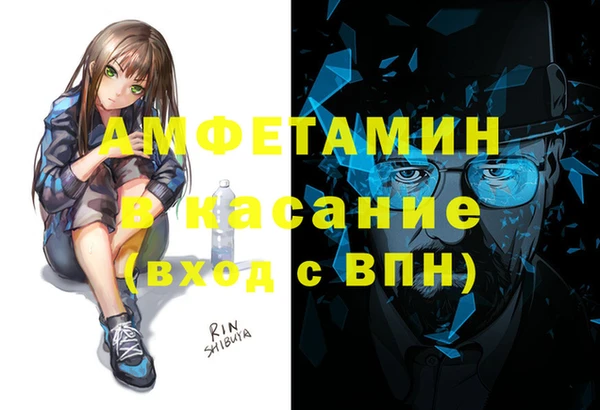 сатива Елабуга