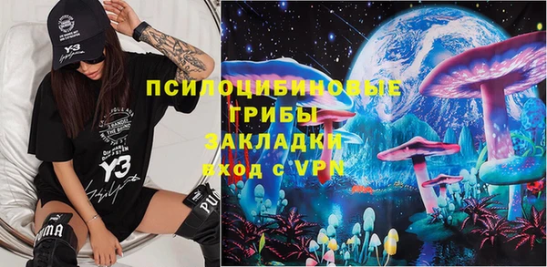 тгк Елизово