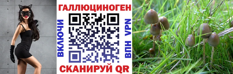 Купить  Емва  Псилоцибиновые грибы Magic Shrooms 